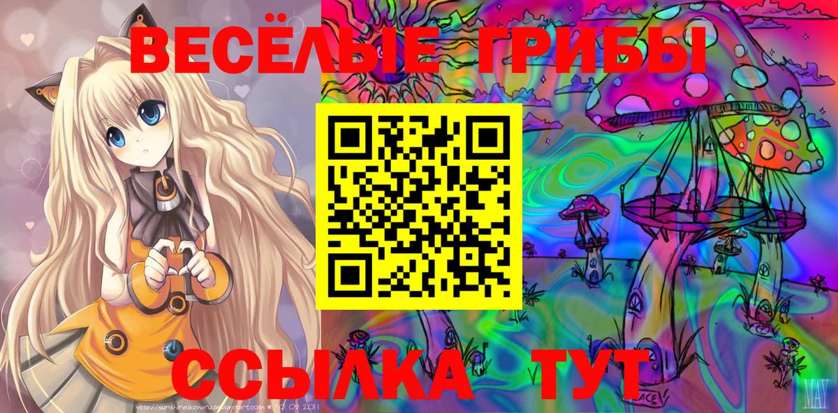 Геленджик  Галлюциногенные грибы GOLDEN TEACHER  Вход с VPN 