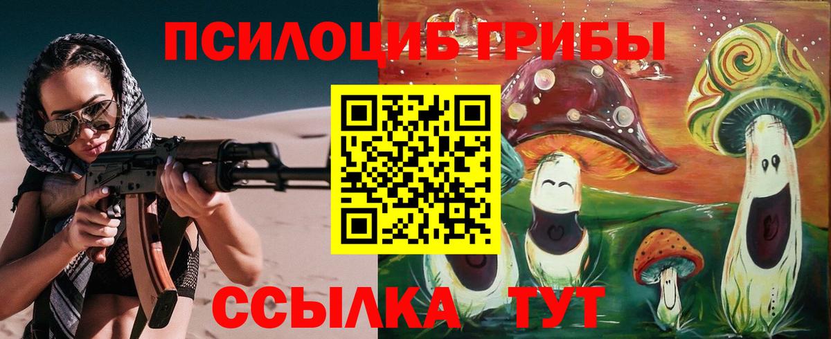 Псилоцибиновые грибы прущие грибы Геленджик